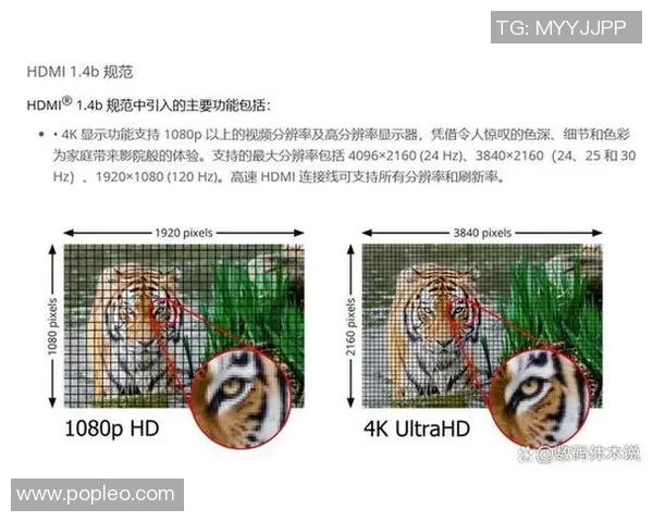 赛后分析：武汉网球队与成都网球队在比赛中的灵活性对比探讨