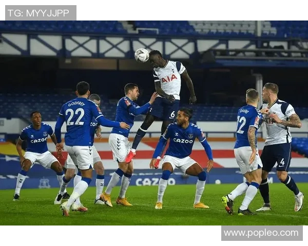 2018年12月布莱顿主场迎战埃弗顿精彩对决回顾与分析