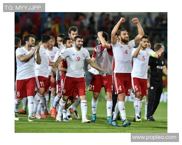 奥地利与格鲁吉亚足球对决分析及胜负推荐建议