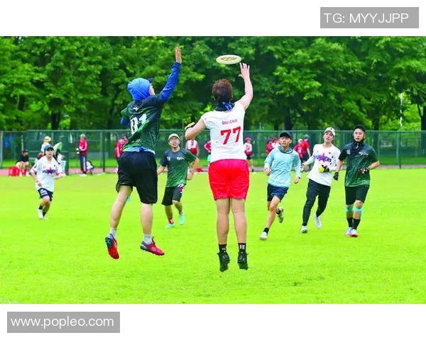 飞盘飞扬:武汉飞盘队的拼搏与梦想成长之路MBA 飞盘飞扬:武汉飞盘队的拼搏与梦想成长之路MBA