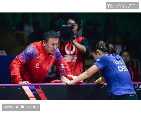 樊振东与马琳乒乓对决谁能称王赛场荣耀一决高下的精彩瞬间回顾