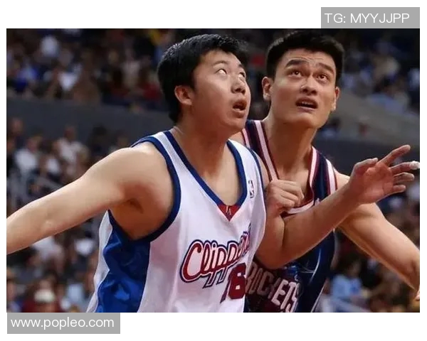 明星篮球水平的真实面貌与职业球员的差距分析