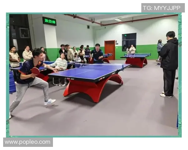 乒乓球的魅力与变革：探寻西安乒乓球队的转型之路与发展潜力