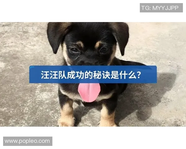 专访李强：探寻足球成功背后的秘密与策略